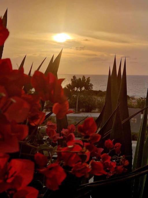 Venus 2 Bedrooms Apartament Pafos