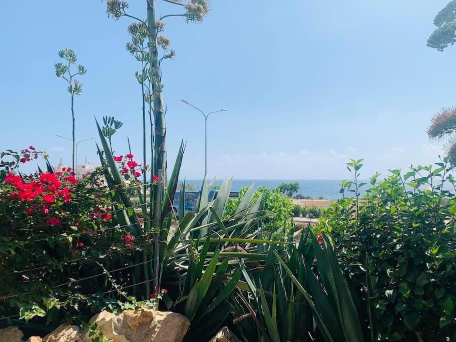 Venus 2 Bedrooms * Pafos