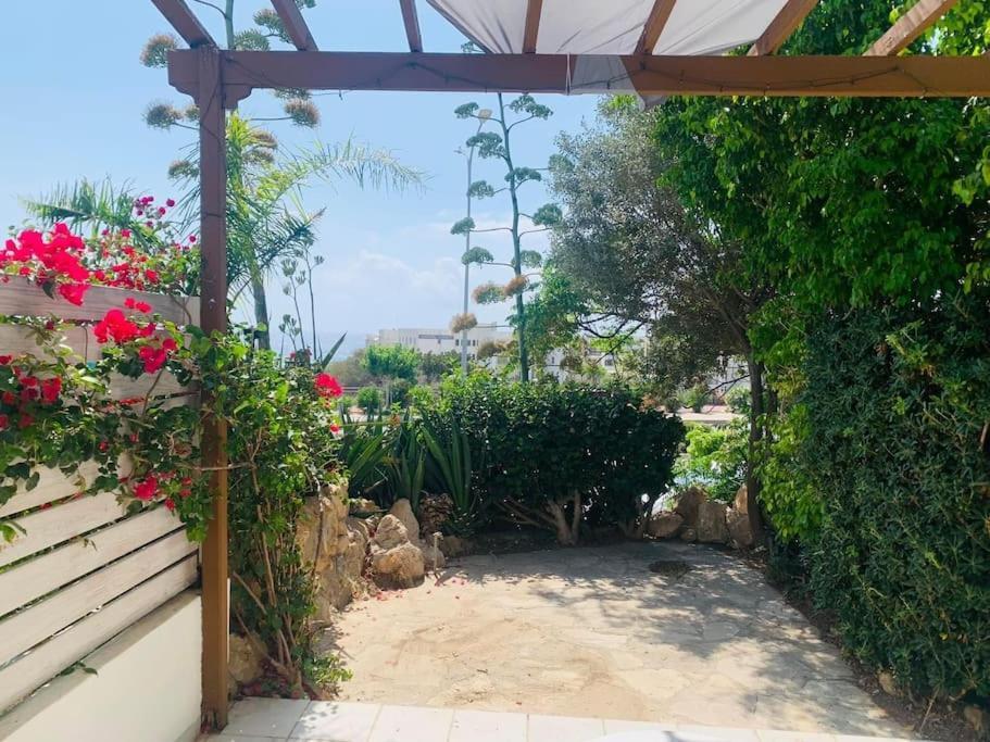 Apartament Venus 2 Bedrooms Pafos