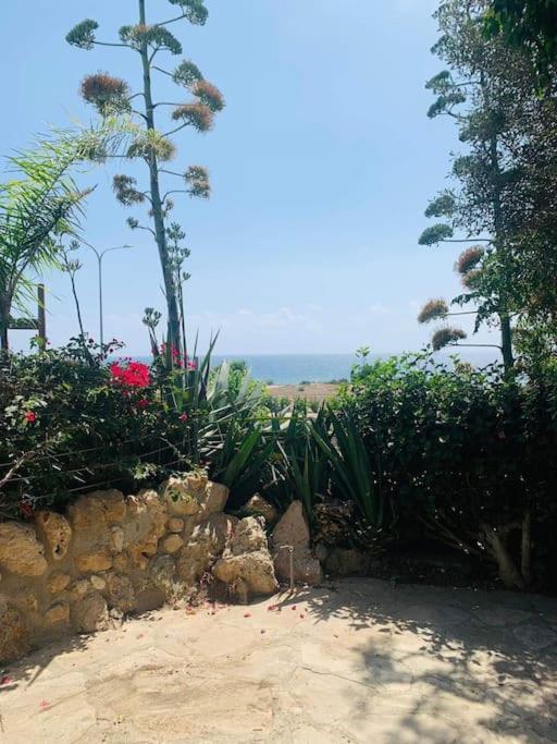 Apartament Venus 2 Bedrooms Pafos